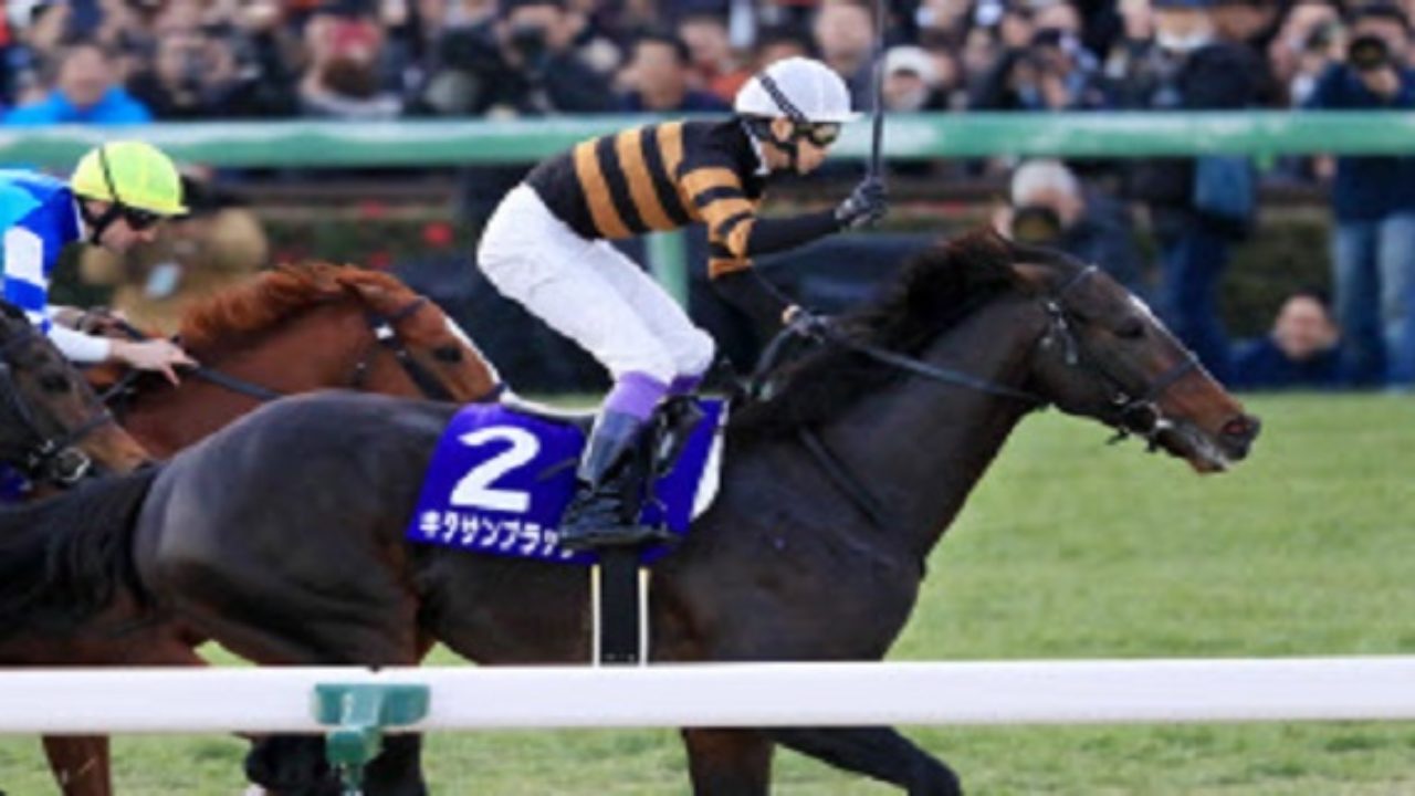 キタサンブラック有終v 徹底分析で意外なおもしろ事実が判明 今 読みましょう