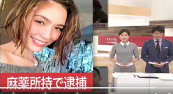 ダンシー・シャノン美沙って誰？顔画像、インスタ特定！CM違約金がやばい！