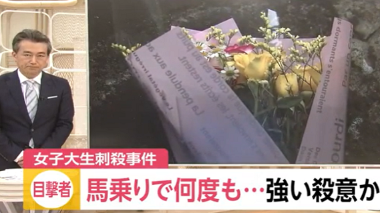 山田 未来 堀 藍 沼津女子大生刺殺事件 大人気アニメ ラブライブ サンシャイン にとばっちり Amp Petmd Com